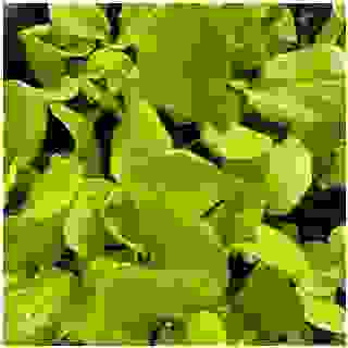 DH-ypdKNbHP