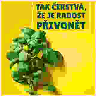 Tak čerstvá, že je radost si přivonět.👌

Čerstvé jídlo nejen skvěle chutná, ale také prospívá naší mysli. Obsahuje důležité živiny podporující tvorbu serotoninu – hormonu štěstí.🤩

V BILLE věříme, že čerstvost je základ. Ať už si vybíráte voňavé pečivo🥖, čerstvé maso🥩,čerstvou zeleninu nebo bylinky🌱 do salátu.🥗

#BillaCZ, #Cerstvost #Zelenina #Salat