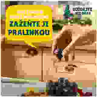 🎄Než přijde na řadu cukroví...🎁

Zkraťte si čekání na vánoční cukroví s pralinkami a dalšími sladkými lahůdkami🍫 BILLA Premium, které si můžete dopřát klidně už teď. ✨

Ujídejte bez obav – kdyby vám dobroty došly, stačí skočit do prodejny BILLA a doplnit zásoby.😉

#BillaCZ #Vanoce #UjidejteBezObav